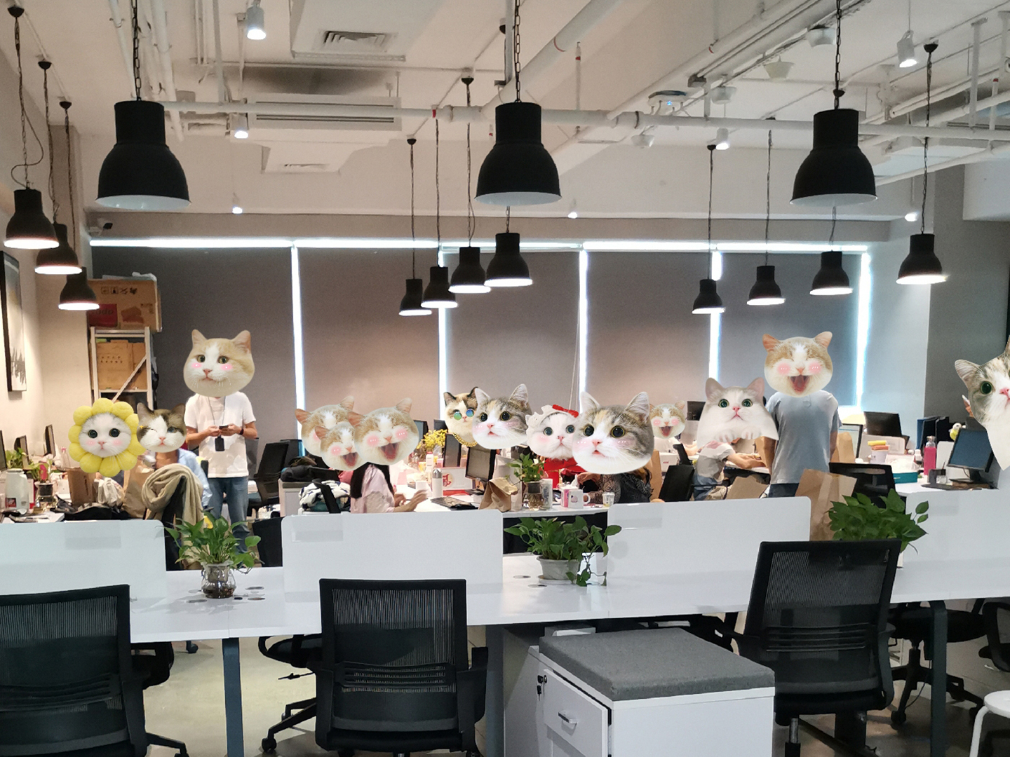 微信图片_20190709164544.jpg