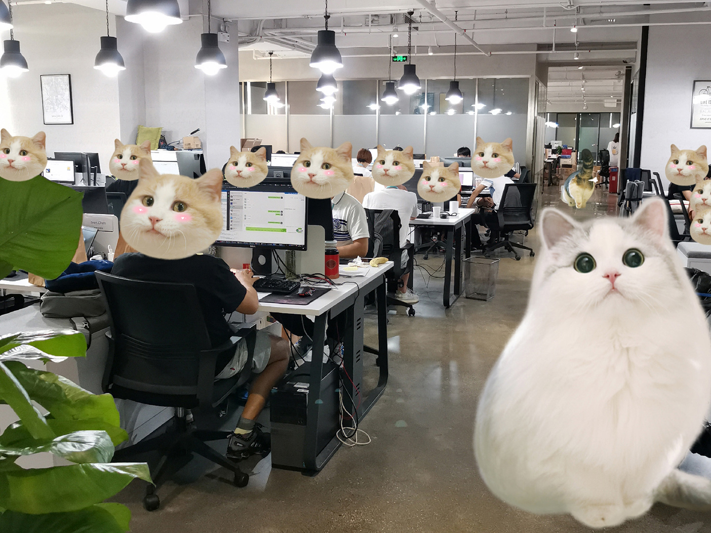 微信图片_20190709164546.jpg